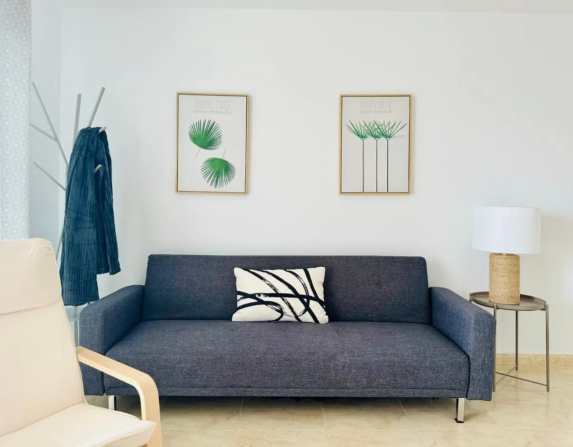 Canaryislandshost L Magenta 푸에르토 델 카르멘